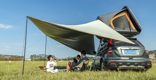 [MOT-FT001] Markise 6.70x2.90 Marvelous